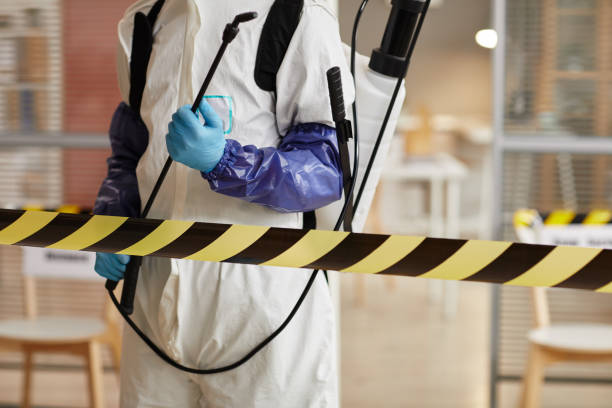 Professional Sewage Cleanup technician working in Coopersville, MI
